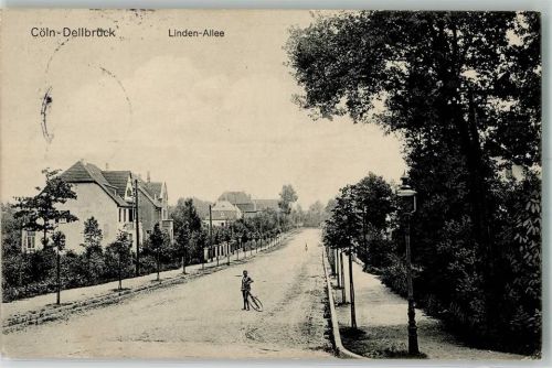 50667 W5000 Köln Dellbrück 905 1915 - Linden-Allee Fahrrad