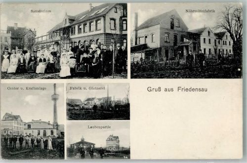 39291 O3272 Friedensau 1910 - Bahnpost Burg Lütjenbrode Zug 11 12.5.10 Sanatorium Nährmittelfabrik Contor u. Kraftanlage