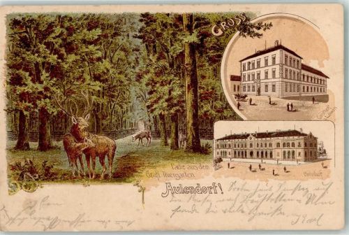 Aulendorf 1901 Gräfl. Tiergarten Gasthaus zum Löwen Bahnhof