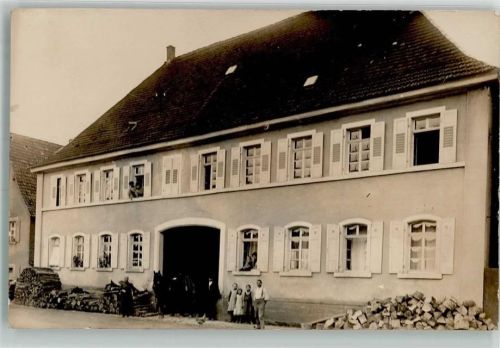 Meckesheim 1910 Wohnhaus Pferd Hühner Ort handschriftlich