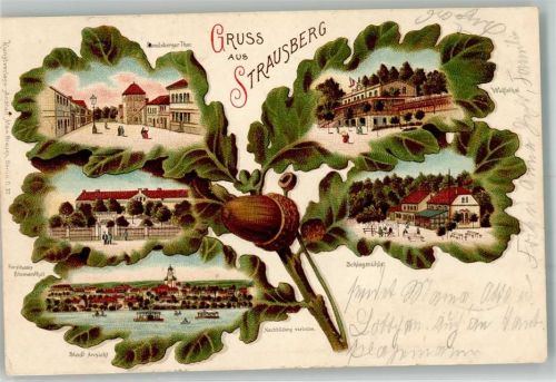 Strausberg 1900 Eichenblatt Forsthaus Blumenthal Landsberger Tor Schlagmühle Wolfsthal