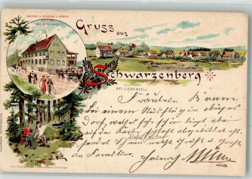 Schwarzenberg 1899 Gasthaus zum Löwen Kutsche Waldlichtung