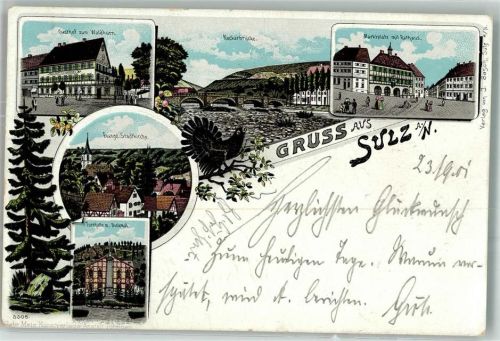 Sulz 1901 Marktplatz Rathaus Gasthaus zum Waldhorn Turnhalle Neckarbrücke