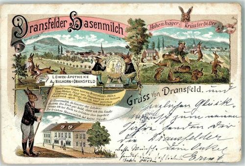37127 W3402 Dransfeld 1899 Lithographie Löwen-Apotheke Dransfelder Hasenmilch-Likör vermenschlichte Hasen