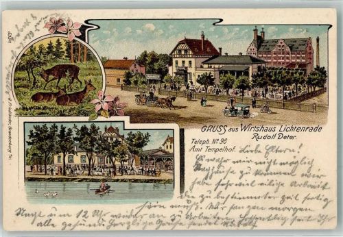 Lichtenrade 1907 Gasthaus Lichtenrade Gartenwirtschaft Wildwiese