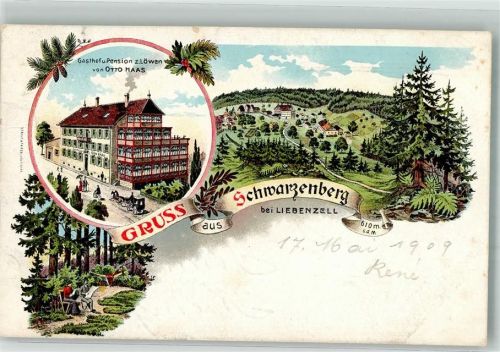 Schwarzenberg 1909 Gasthaus zum Löwen Kutsche Waldlichtung