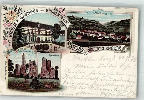 06507 O4301 Stecklenberg 1898 Lithographie Ruine Stecklenburg Gasthaus zun Grünen Walde Lauenburg