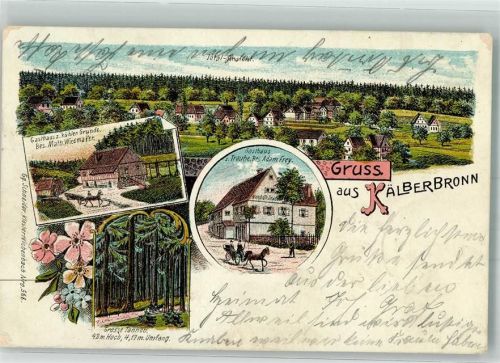Kälberbronn 1904 Gasthaus zum kühlen Grunde Gasthaus zur Traube Waldstraße