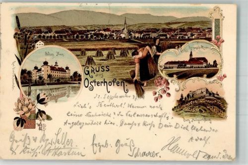 Osterhofen 1897 Schloss Moos Damenstift-Kloster Burg Hilgartsberg Heuernte Verlag Ottmar Zieher-München