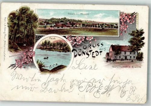 Haldensleben 1899 Lithographie Dönstedt Wellenberge Teich Gasthaus Braune