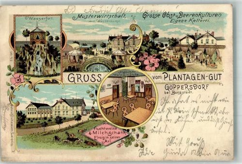 Burgstädt 1898 Göppersdorf Kelterei Plantagen-Gut Altdeutsche Weinstube Obst- und Beerenausschank Wasserfall