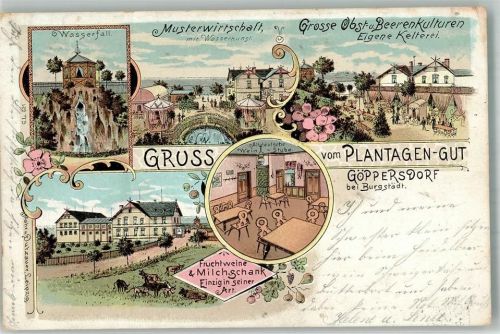Burgstädt 1899 Göppersdorf Kelterei Plantagen-Gut Altdeutsche Weinstube Obst- und Beerenausschank Wasserfall