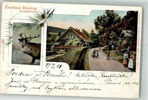 Habelschwerdt 1901 Forsthaus Wustung Hirsch