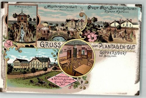 Burgstädt Göppersdorf Gasthaus Plantagen-Gut Altdeutsche Weinstube Musterwirtschaft Wasserfall
