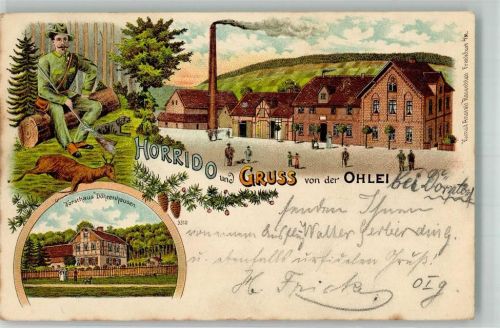 38704 W3384 Liebenburg Lithographie Ohlei Jäger Jagdhund Rehbock Forsthaus Döhrenhausen