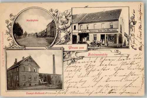 Schönewalde 1903 Matktplatz Dampf-Molkerei Gasthaus Borrmann