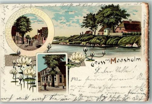 24376 W2341 Maasholm 1903 Lithographie Hauptstraße Gasthaus & Postagentur Seerosen