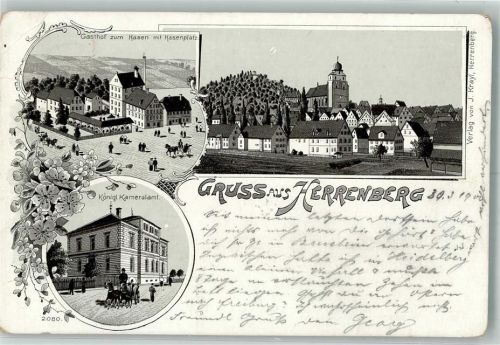 71083 W7033 Herrenberg im Gäu 1900 Lithographie Kgl. Kameralamt Gasthaus zum Hasen Hasenplatz