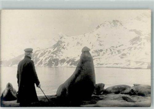 Süd Georgien 1926 bei den Robben Robbe Privatfoto AK