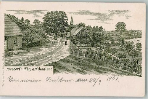 23883 W2411 Seedorf , Kr Hzgt Lauenb 1901 Lithographie Dorfstraße Bauernhäuser