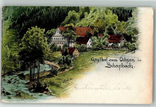 W7624 Schapbach Gasthof zum Ochsen Liebich C. 1918 Künstlerkarte
