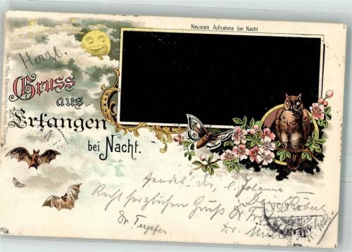 1899 Fledermaus Eule Nachtfalter