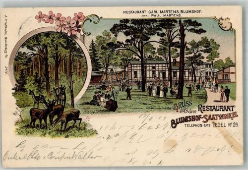 10115 W1000 Tegel Lithographie Gasthaus Blumshof-Saatwinkel Garten Wildlichtung