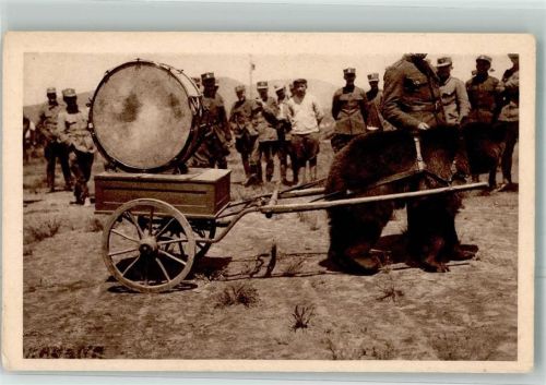 Aufführung bei den Soldaten , Bär zieht eine Trommel auf Rädern Tanzbär 1914