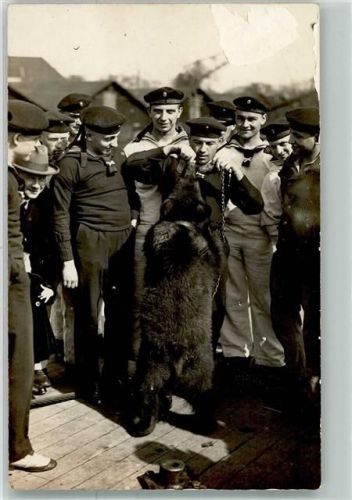 1914 - 1918 Marine Matrosen Soldaten betrachten den Bären WK I