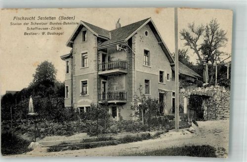 Jestetten 1916 Fischzucht Jestetten Stempel Überwachungsstelle Freiburg