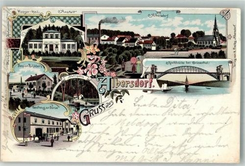 25767 W2243 Albersdorf , Holst 1900 Lithographie Stahlquelle Gasthaus zur Börse Pension Ruhleben Wasser-Heilanstalt