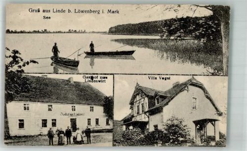 Linde Gasthaus zum Lindenwirt Villa Vogel Dorfsee Fischer