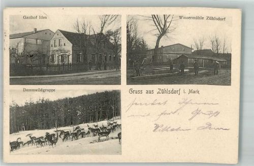 Zühlsdorf 1907 Zühlsdorfer Mühle Gasthaus Iden Dammwild
