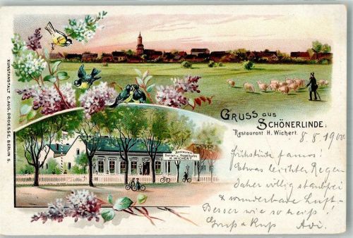 Schönerlinde 1900 Fahrradfahrer Gasthaus Wichert Schafherde Schäfer Singvögel