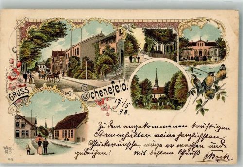 Schenefeld 1898 Vögel Dorfstrasse Kirche Verlag Ottmar Zieher-München