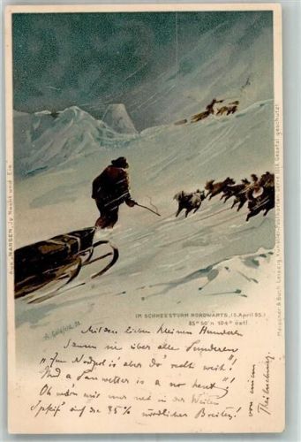 Schlittenhunde Nansen Polarforschung Meissner u. Buch Serie 1016 Verlag Goldfeld Expedition Nordpol 1898 Lithographie / Künstlerkarte