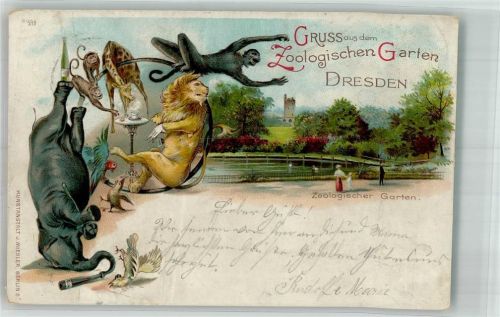 Dresden 1897 Zool. Garten Tiere Elefant Papagei Affe Löwe