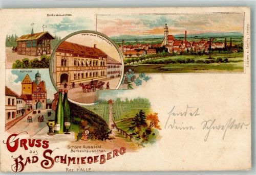 06905 O4603 Bad Schmiedeberg Lithographie Borkenhäuschen Hotel zum Kronprinzen Autor Feldweg