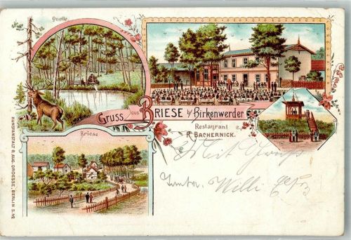 Birkenwerder 1899 Gasthaus zur Briese Gartenwirtschaft Elsen-Quelle Aussichtsturm