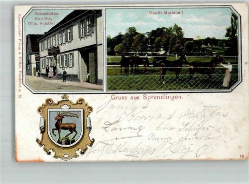 Sprendlingen 1907 Gestüt Mariahall Wappen Gasthaus Darmstädter Hof