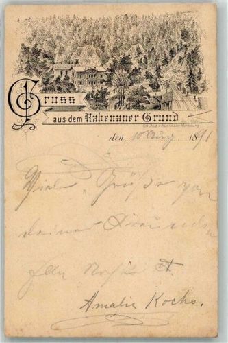 01734 O8222 Rabenauer Grund 1891 Lithographie Vorläufer Druck 1880-1889 Rabenauer Grund