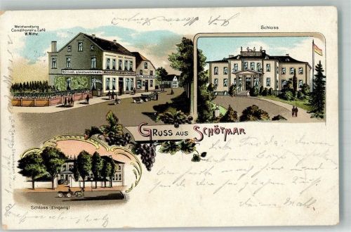 32105 W4902 Schötmar 1899 Lithographie Cafe -Weinhandlung Witte Weintrauben Schloss Bahnpost Herford-Altenbeken Zug 584