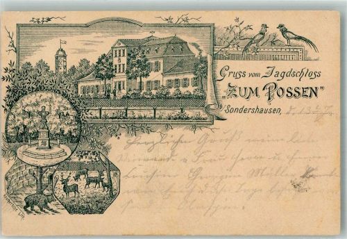 Sondershausen 1896 Vorläufer Druck um 1890 Jagdschloss Zum Possen Pfaue Bärenzwinger Denkmal Wildgehege