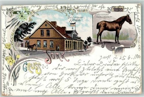 Jork 1901 Hannover Vollbluthengst Gasthaus Cordes