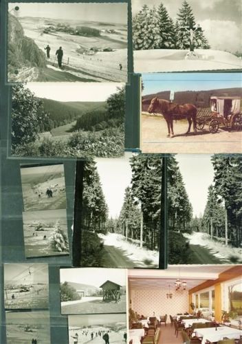 Wildewiese Lot mit 49 Fotos Original aus Archiv eines Ansichtskartenverlages versch. Grössen