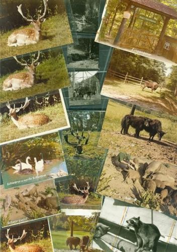 Amlishagen Lot mit 36 Fotos Original aus Archiv eines Ansichtskartenverlags versch. Grössen