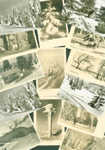 Lot mit 46 AK Winteridylle Skifahrer wenige mehrfach