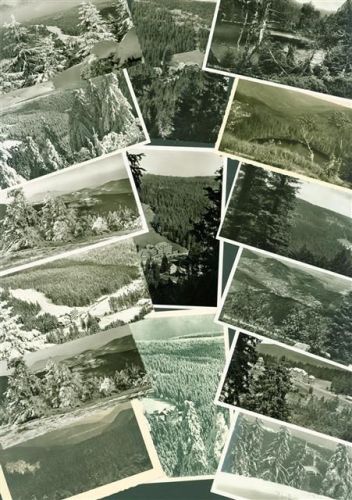 Ruhestein Lot mit 40 AK Kurhaus Wildsee