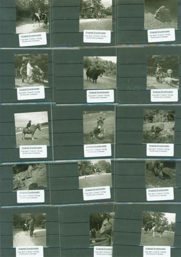 Siedelsbrunn Lot mit 23 Fotos Originale aus dem Archiv eines Ansichtskartenverlages Tierpark