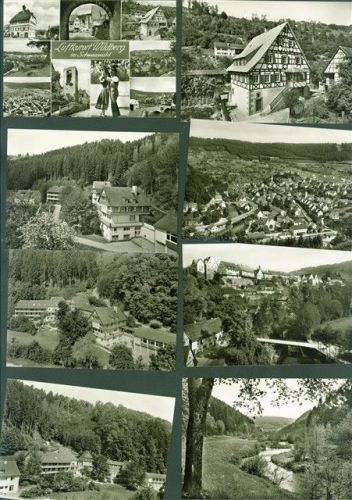 Wildberg Lot mit 19 AK viele mehrfach